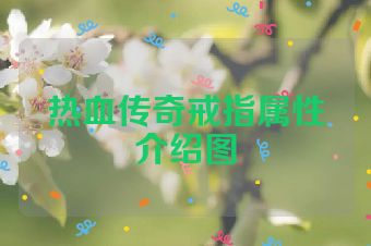 热血传奇戒指属性介绍图