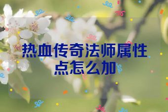 热血传奇法师属性点怎么加
