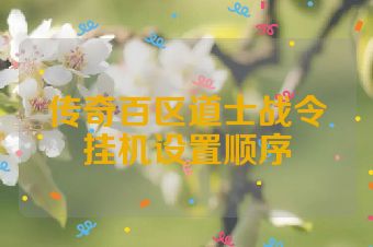 传奇百区道士战令挂机设置顺序
