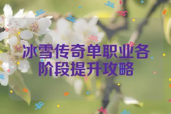 冰雪传奇单职业各阶段提升攻略