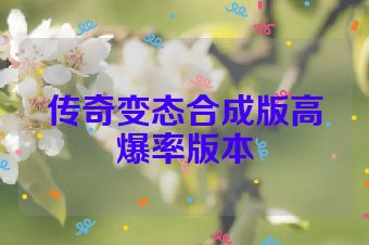 传奇变态合成版高爆率版本