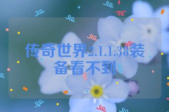 传奇世界2.1.1.38装备看不到