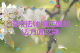 传奇法师魔法值和法力值区别