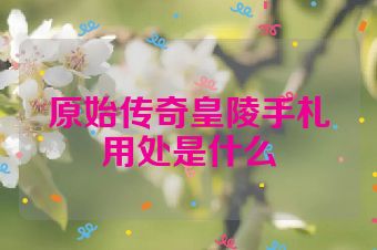 原始传奇皇陵手札用处是什么