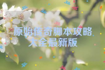 原始传奇脚本攻略大全最新版