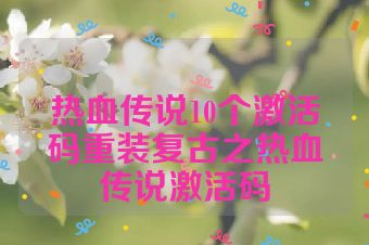 热血传说10个激活码重装复古之热血传说激活码