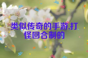 类似传奇的手游,打怪回合制的
