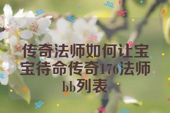 传奇法师如何让宝宝待命传奇176法师bb列表