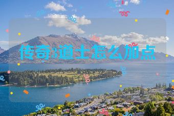 传奇3道士怎么加点