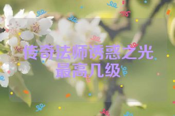 传奇法师诱惑之光最高几级