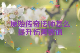 原始传奇法师怎么提升伤害数值