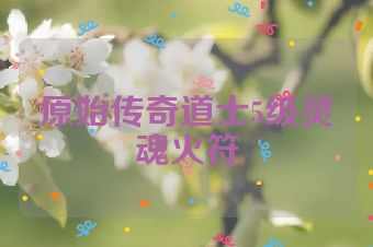 原始传奇道士5级灵魂火符