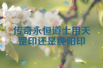 传奇永恒道士用天罡印还是纯阳印