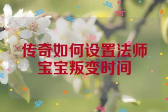传奇如何设置法师宝宝叛变时间