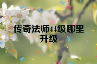 传奇法师44级哪里升级