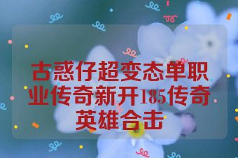 古惑仔超变态单职业传奇新开185传奇英雄合击