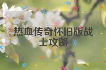 热血传奇怀旧版战士攻略