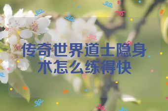 传奇世界道士隐身术怎么练得快