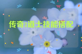 传奇3道士技能搭配