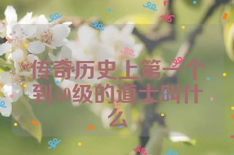 传奇历史上第一个到40级的道士叫什么