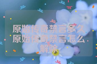 原始传奇禁言多久原始传奇禁言怎么解除
