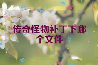 传奇怪物补丁下哪个文件