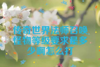 传奇世界法师召唤怪物等级要求是多少啊怎么打