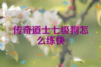 传奇道士七级狗怎么练快