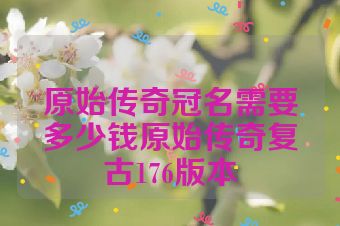 原始传奇冠名需要多少钱原始传奇复古176版本