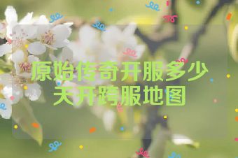 原始传奇开服多少天开跨服地图