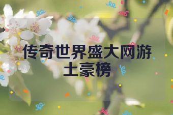 传奇世界盛大网游土豪榜