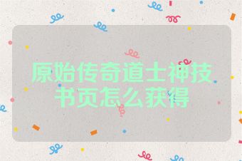 原始传奇道士神技书页怎么获得
