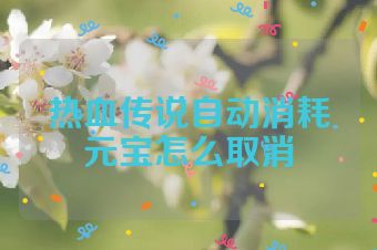 热血传说自动消耗元宝怎么取消