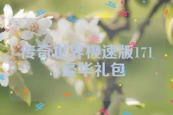 传奇世界极速版17173豪华礼包
