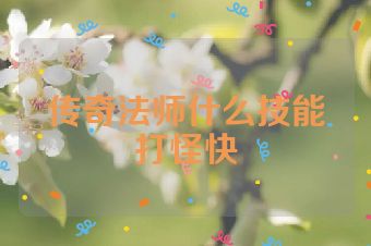 传奇法师什么技能打怪快