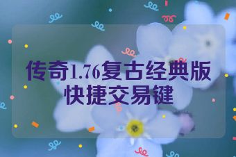 传奇1.76复古经典版快捷交易键