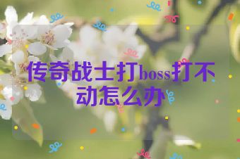 传奇战士打boss打不动怎么办