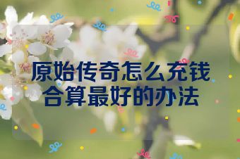 原始传奇怎么充钱合算最好的办法