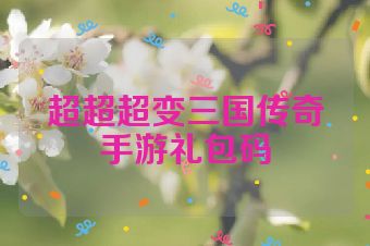 超超超变三国传奇手游礼包码