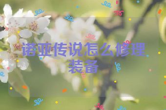 诺亚传说怎么修理装备