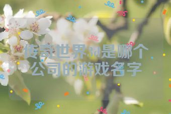 传奇世界3d是哪个公司的游戏名字