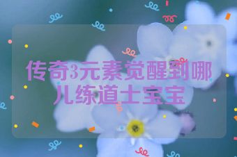 传奇3元素觉醒到哪儿练道士宝宝