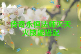传奇永恒法师灭天火技能搭配