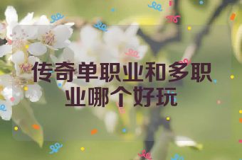 传奇单职业和多职业哪个好玩