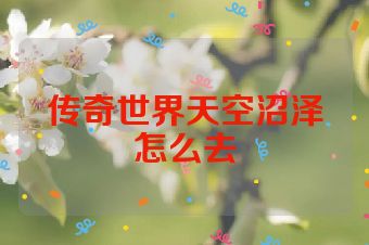 传奇世界天空沼泽怎么去