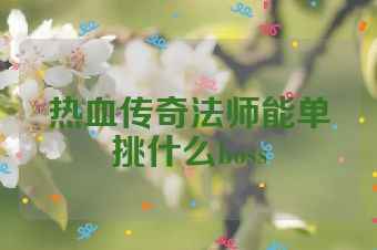 热血传奇法师能单挑什么boss