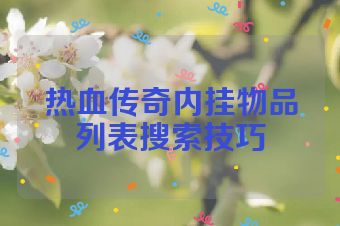 热血传奇内挂物品列表搜索技巧