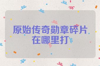 原始传奇勋章碎片在哪里打