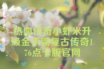 热血传奇小虾米升级金手镯复古传奇176点卡版官网