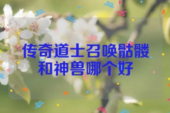传奇道士召唤骷髅和神兽哪个好